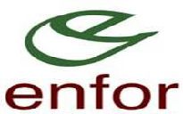 Enfor — Entidad de Fomento Regional